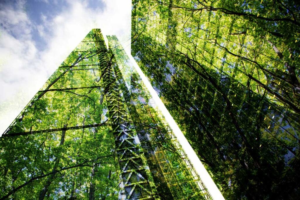 Companies are continually looking for new methods to be more environmentally friendly. Not only can going green benefit your business’s bottom line, but it can also help draw new customers and clients.